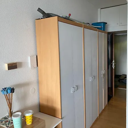 Apartment Mit Seeblick Am Ossiacher